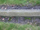 image of grave number 808229